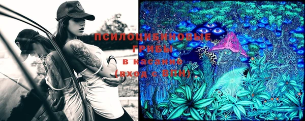 меф Няндома