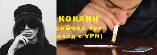 меф Няндома